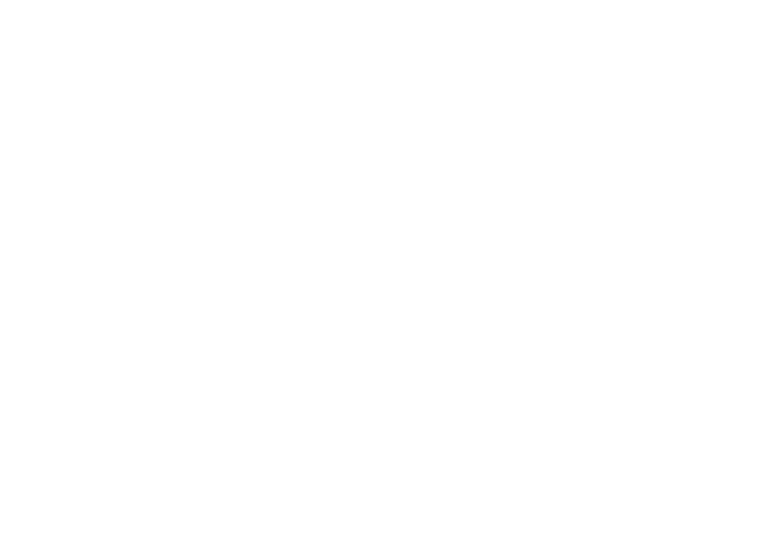 BSC Logo